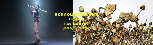 индика Абаза