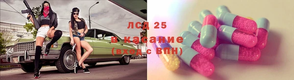 индика Абаза