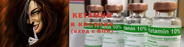 индика Абаза