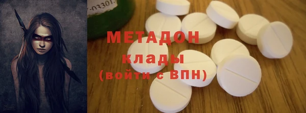 прущие грибы Абинск