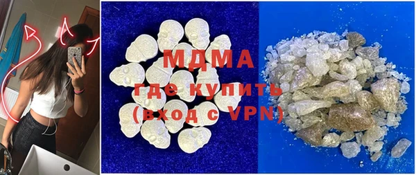 прущие грибы Абинск