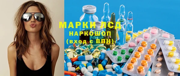 индика Абаза