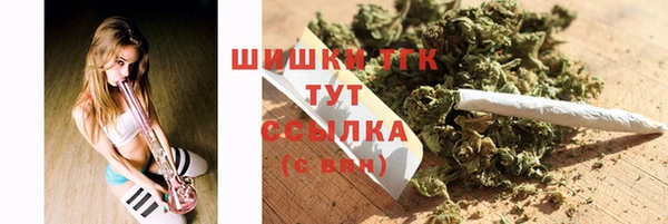 прущие грибы Абинск