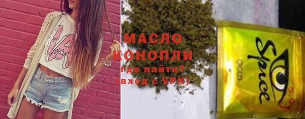 индика Абаза