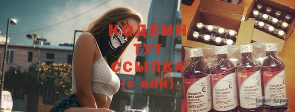 прущие грибы Абинск
