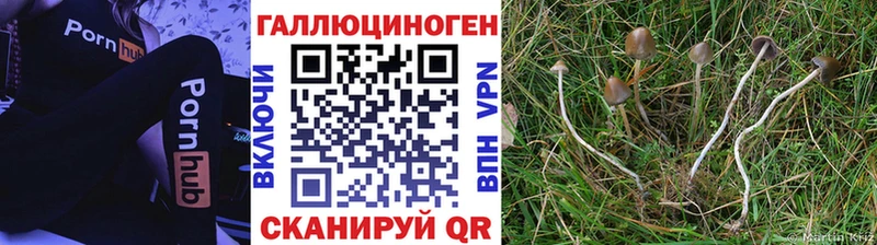 Псилоцибиновые грибы мухоморы Щёкино